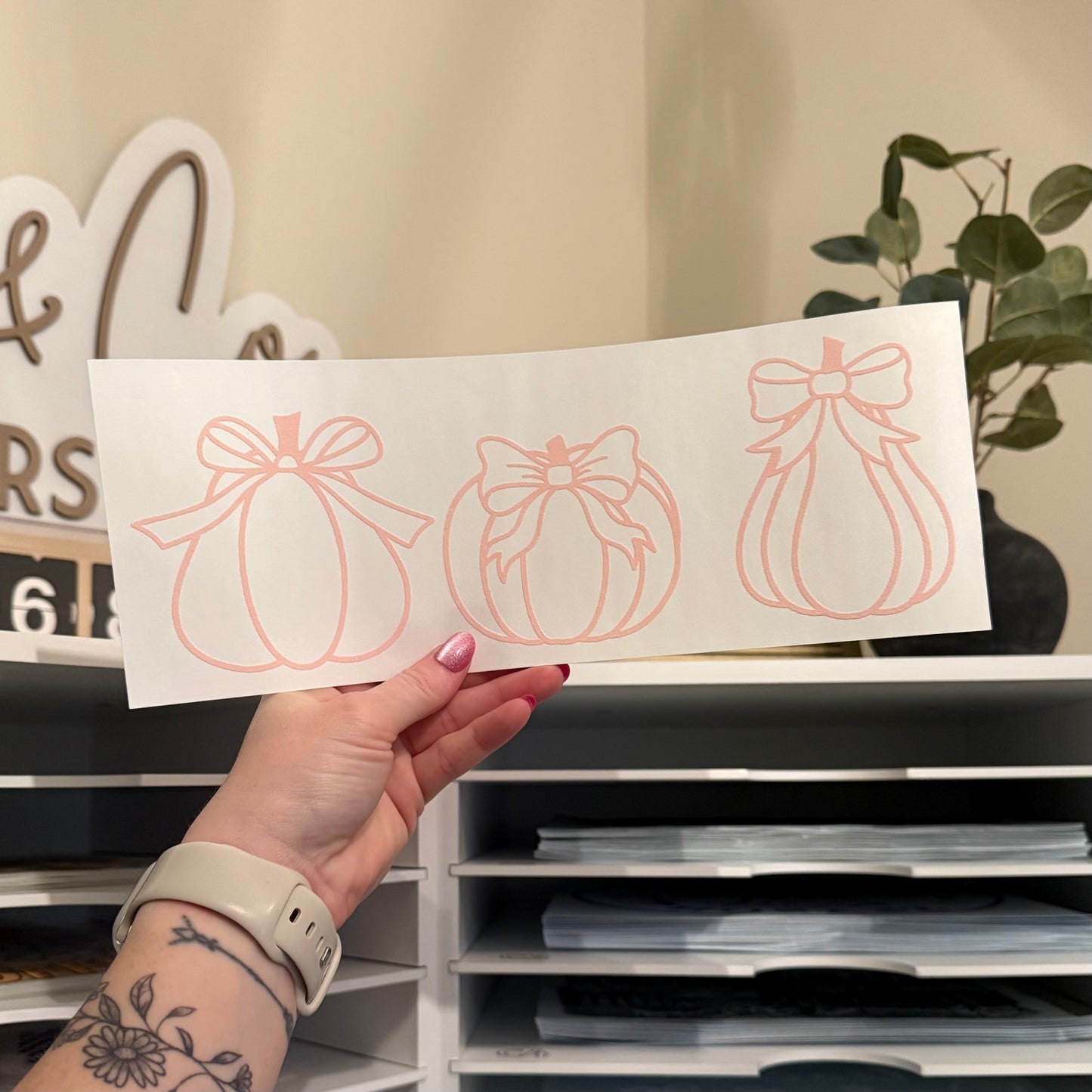 Coquette Pumpkins Single Color (Baby Pink)
