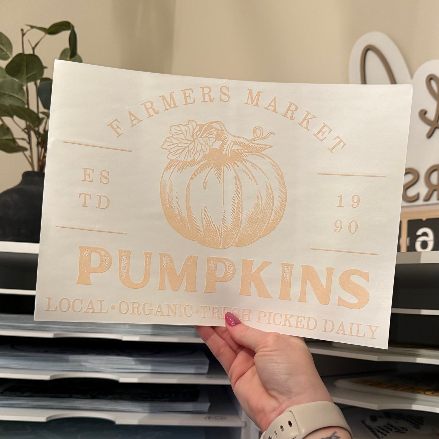 Farmers Market Pumpkins Single Color (Beige)