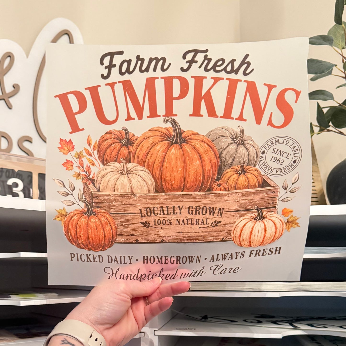 Farm Fresh Pumpkins DTF HOT PEEL