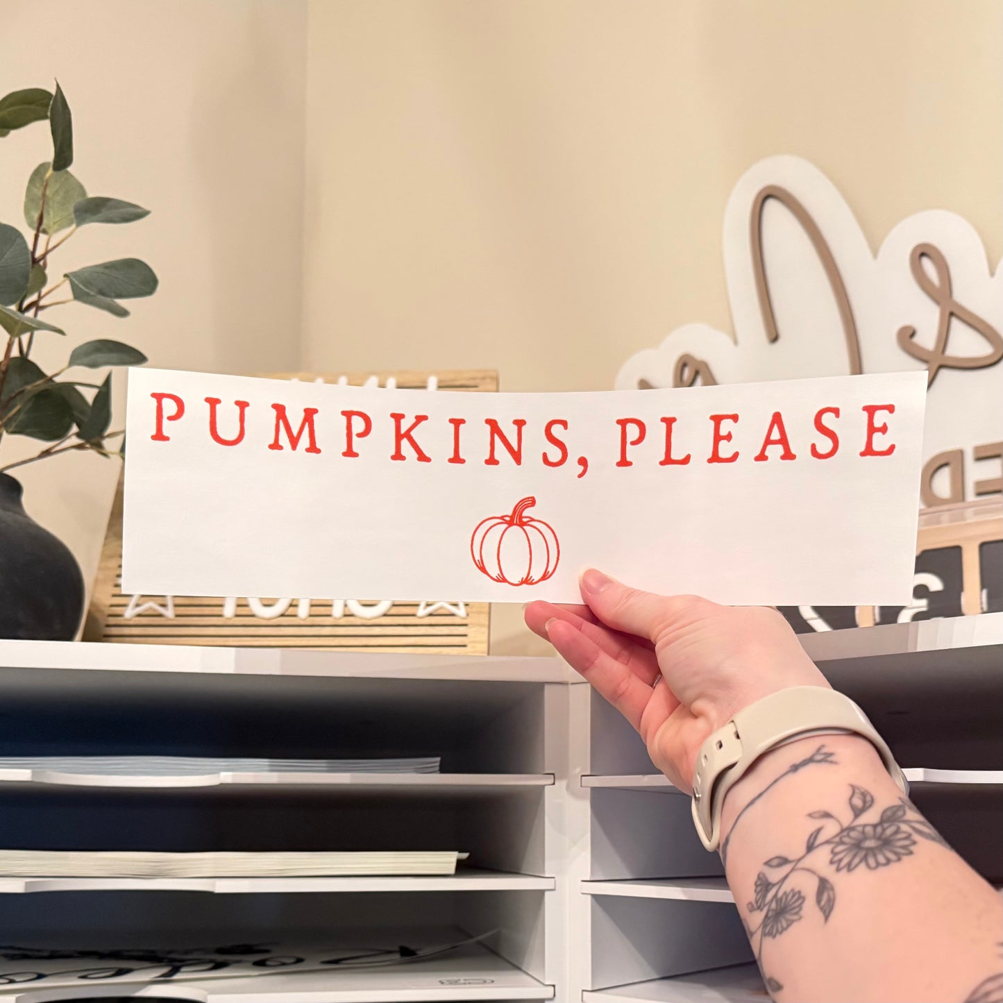 Pumpkins, Please Single Color (Orange)