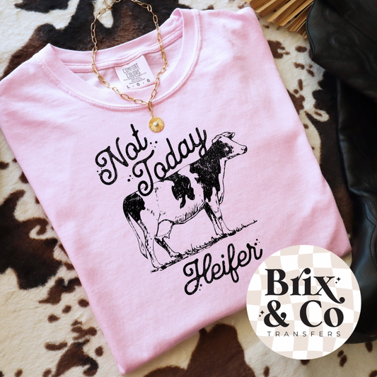 Not Today Heifer Single Color