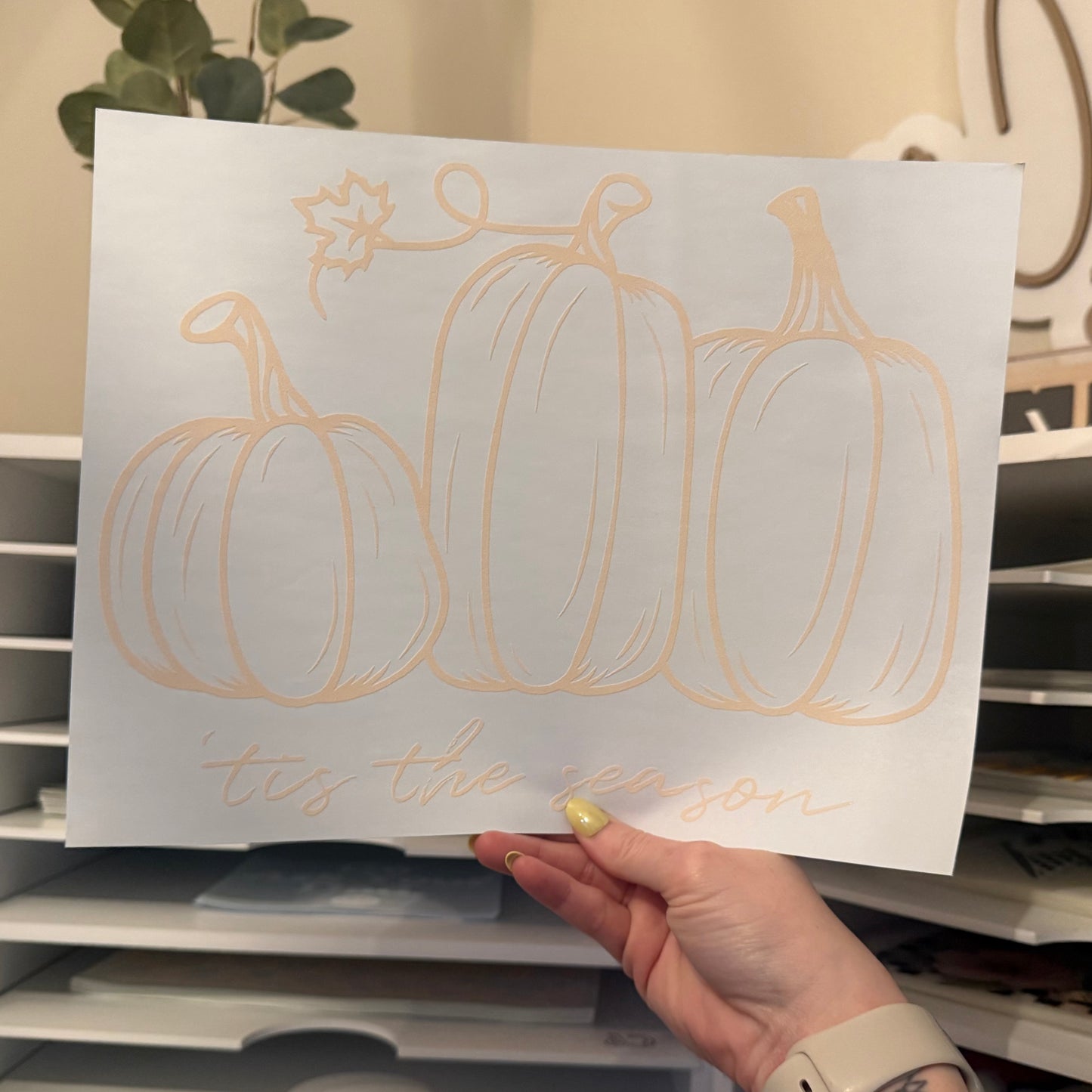 ‘Tis The Season Pumpkins Single Color (Beige)
