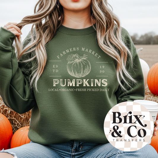 Farmers Market Pumpkins Single Color (Beige)
