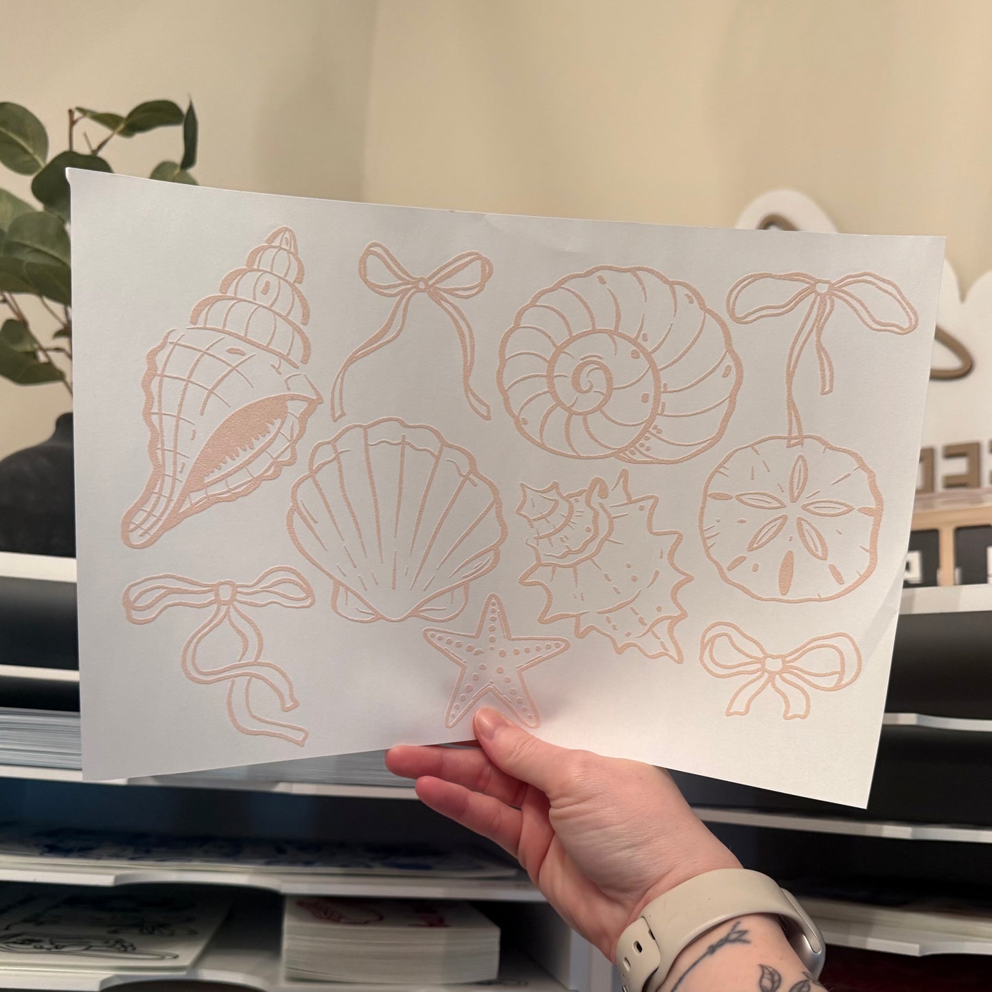 Coquette Seashells Single Color (Beige)