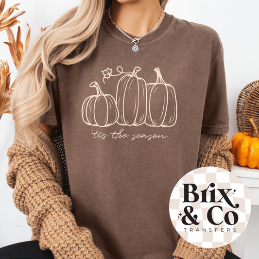 ‘Tis The Season Pumpkins Single Color (Beige)