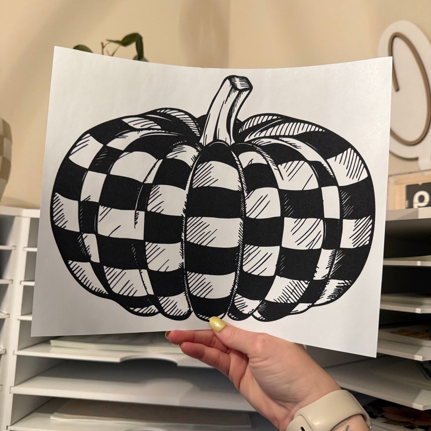 Checker Pumpkin Single Color