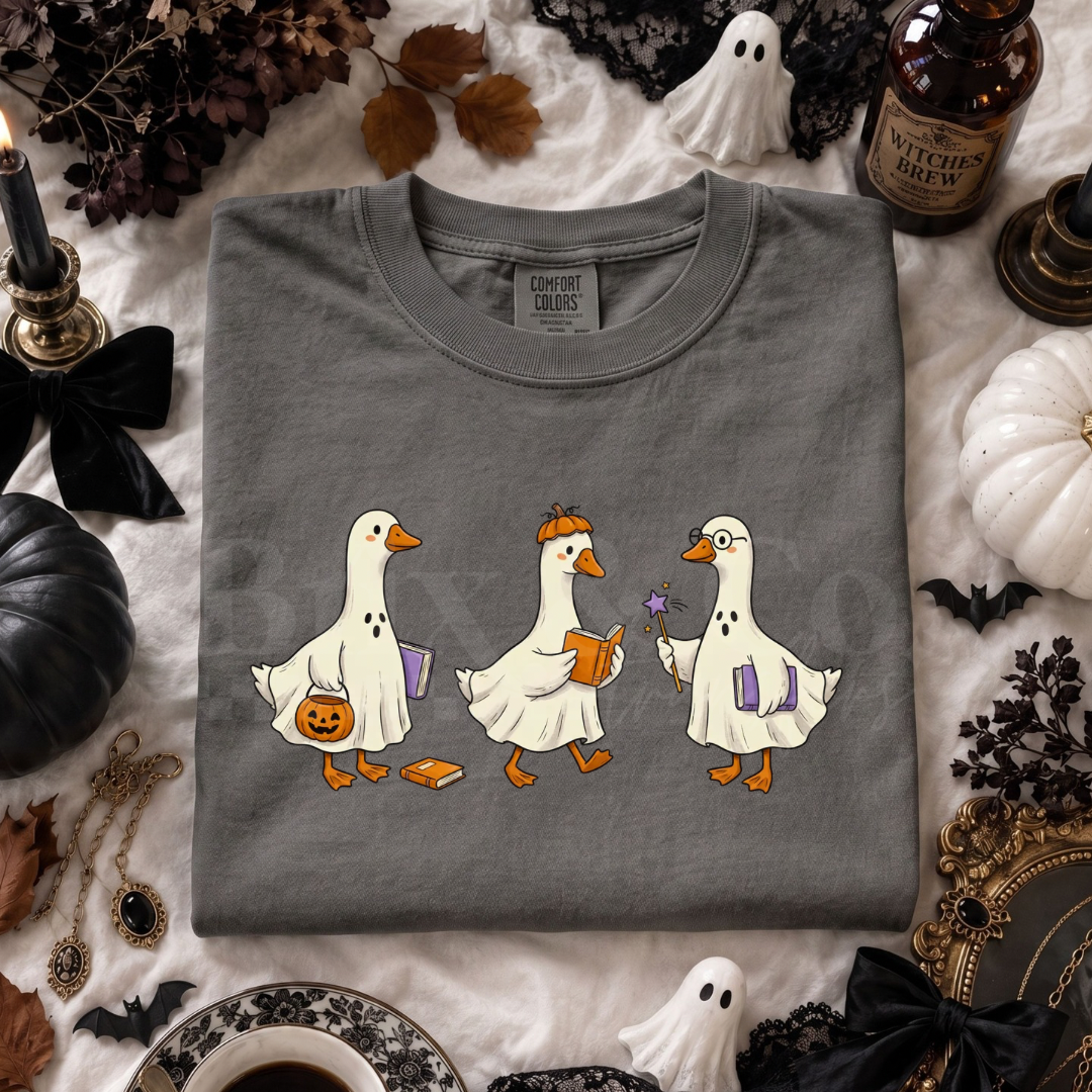 Bookish Geese DTF HOT PEEL