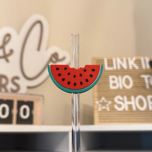 Watermelon 3D Printed Straw Topper